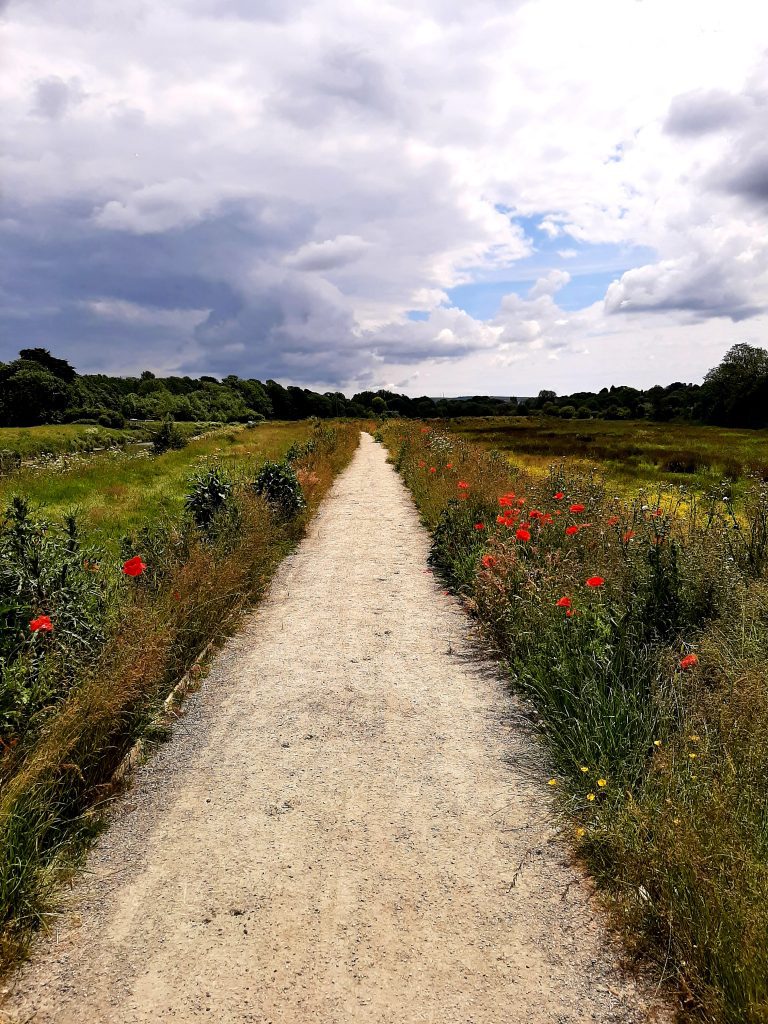 Along the River from Lewes - An Easy Walk - Unknown Kent & Sussex Magazine